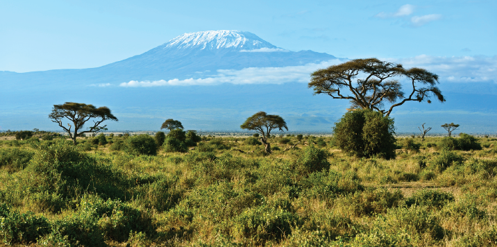 KILLIMANDJARO
